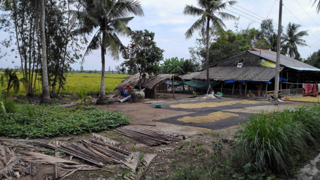 Rondreis Zuid-Vietnam - Drogend rijst in de Mekong Delta.....fietsreis