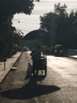 Luang Prabang - Street vendor in the summer sun
