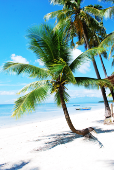 Filipijnen - Strand Siquijor