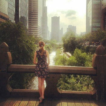 Seoul - Jungle of towers