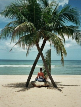 Thailand - Zen in Thailand