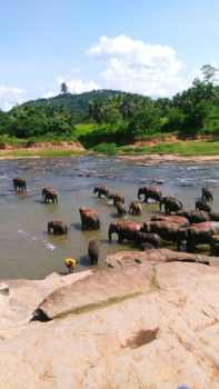 Sri Lanka - Lekker baden