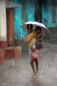 India - Onder oma`s paraplu