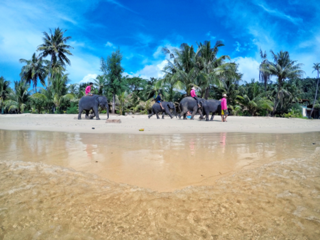 Koh Chang - Young travellers