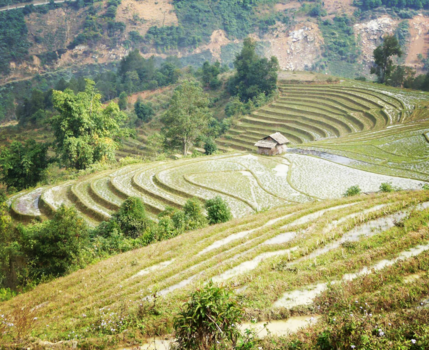 Rondreis Vietnam in vier weken - Sapa