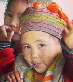 Rondreis Vietnam in vier weken - Sapa