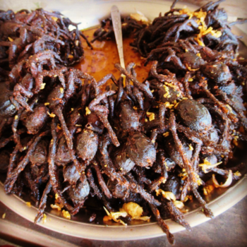 Cambodja - Ook even proeven?