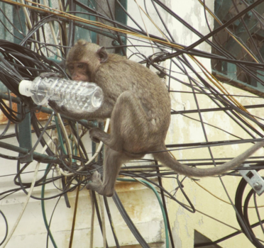 Cambodja - Phnom Penh