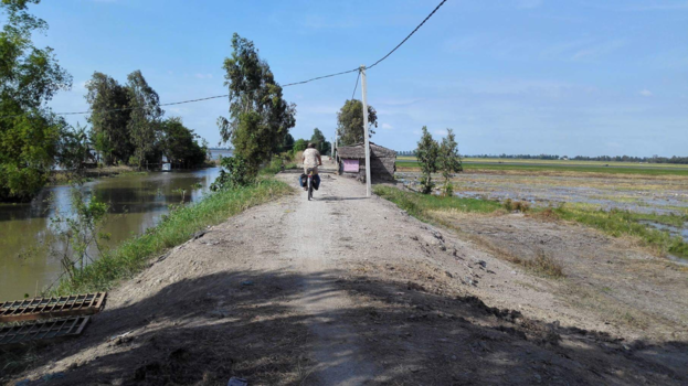 Rondreis Zuid-Vietnam - Rijstvelden