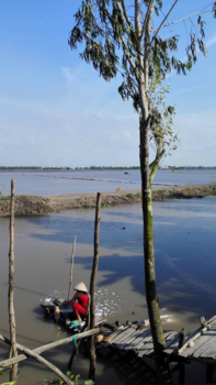 Rondreis Zuid-Vietnam - De Mekong