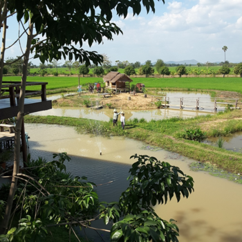 Rondreis Noord-Thailand - Coffee break near Sukhothai.