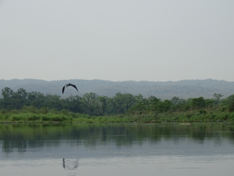 Chitwan National Park - Vredige ochtend in Chitwan