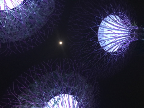 Singapore - Shine a light!