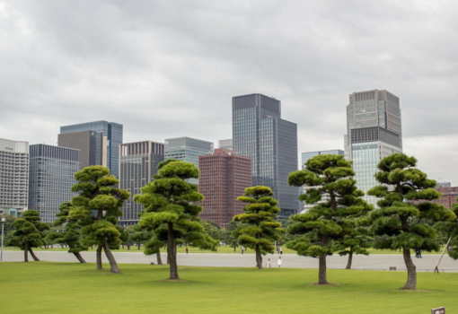 Tokio - Urban nature