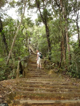 Maleisië - Beklimming van de Kota Kinabalu