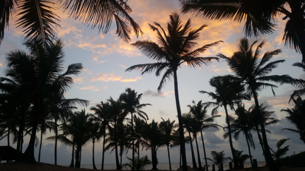 China - Amezing India