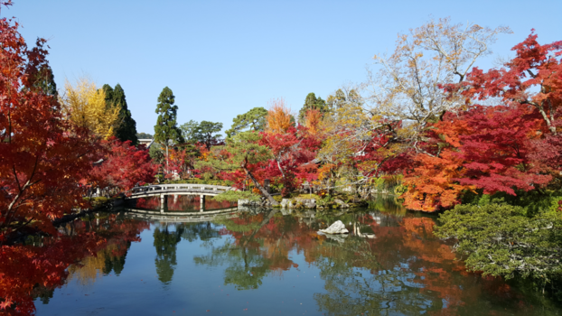 Kyoto - 50 shades of red