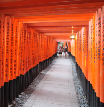 Japan - Gateway to heaven (Fushimi-Inari)