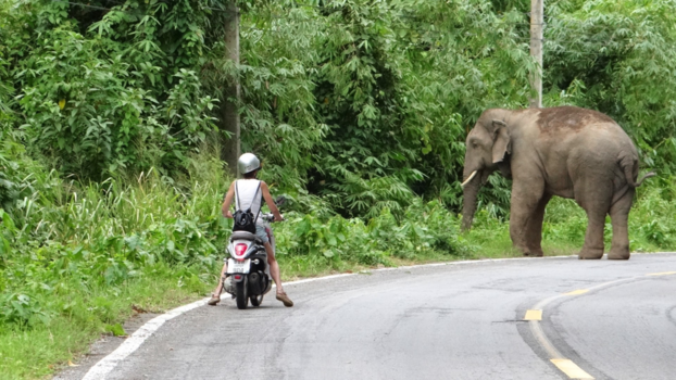 Rondreis Noord-Thailand - Cha-am