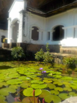 Sri Lanka - Cave tempels