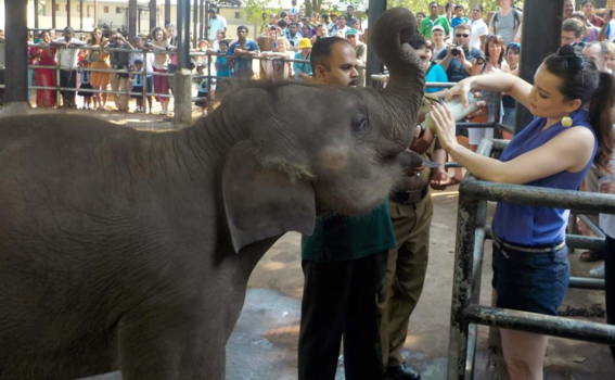 Sri Lanka - Pinnawalla