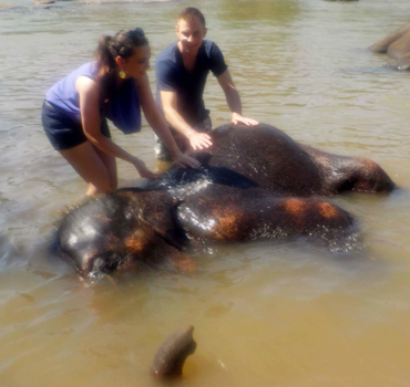 Sri Lanka - Pinnawalla