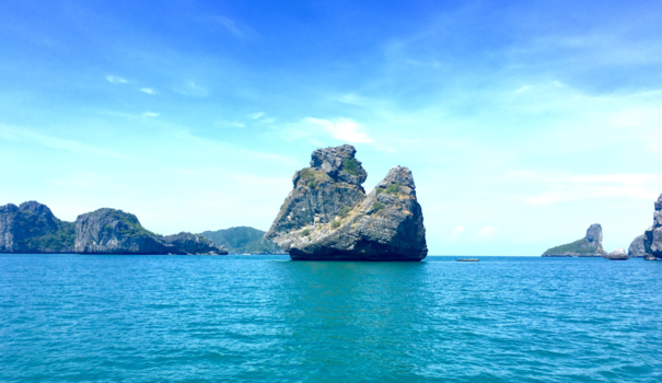 Ang Thong Marine National Park - Welk dier zie jij bidden?