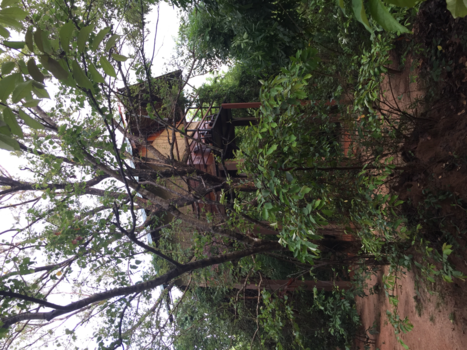 Sri Lanka - Slapen in een boomhut