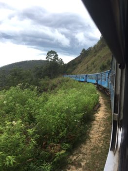 Sri Lanka - Treinreis