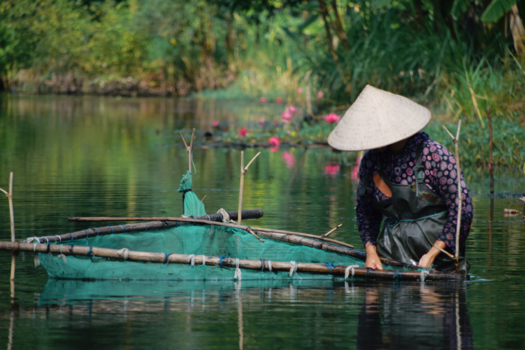 Rondreis langs de kust van Vietnam - Halong Bay on land
