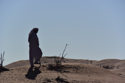 Dubai - Waar zijn mijn kamelen heen?