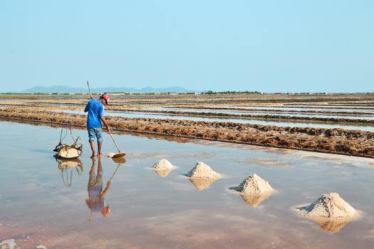 Cambodja - Zoutreflectie