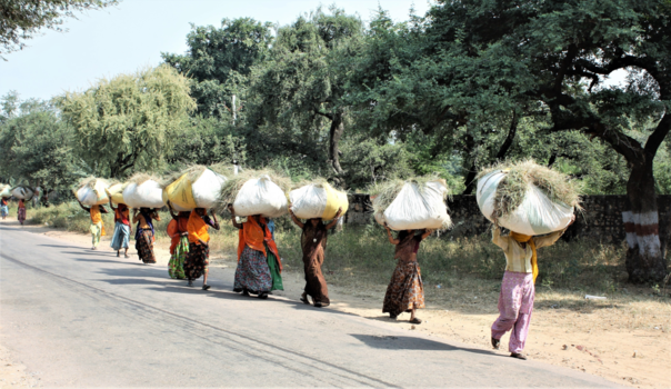 India - Op weg naar huis