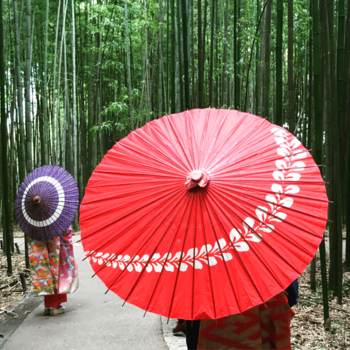 Japan - Bamboo forest geishas