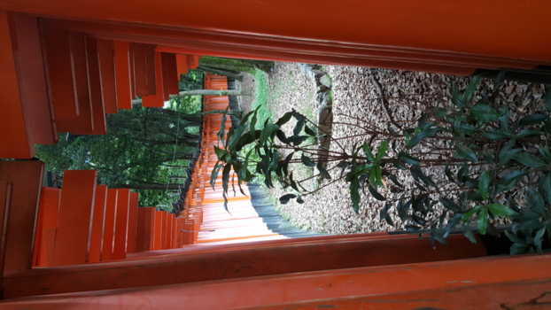 Japan - Duizendeneen torii