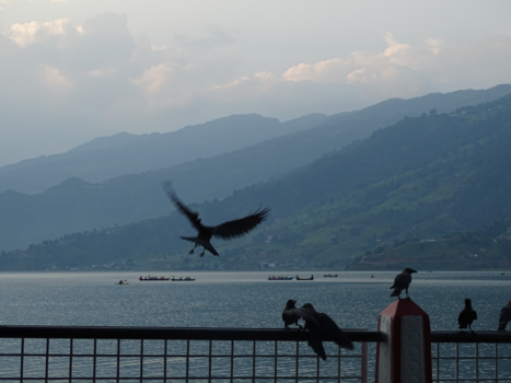 Nepal - Veilige landing in Nepal