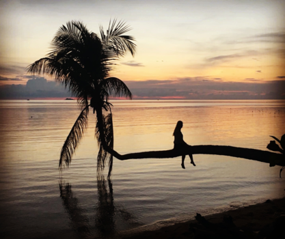 Koh Phangan - Perfect tree to watch the sea
