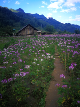 Rondreis Vietnam in vier weken - Wonderful colors