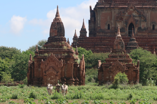 Myanmar - Bagan