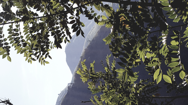 Sri Lanka - De sri Lankaanse bevolking ziet hier in deze berg een olifant