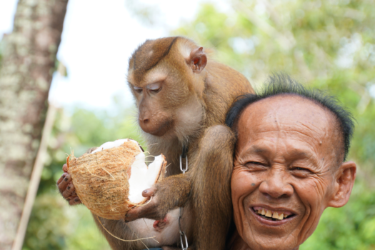 Phuket - Een glimlach zegt meer als 1000 woorden