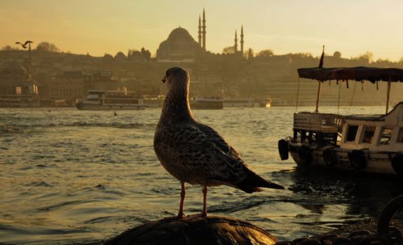 Istanbul - End of the day...