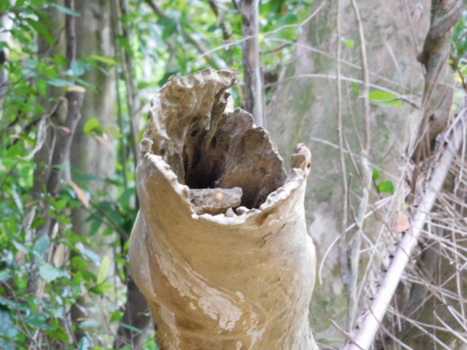 Rondreis Zuid-Thailand