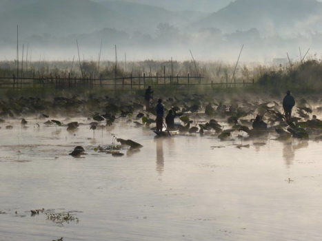 Myanmar - het Inle meer ontwaakt