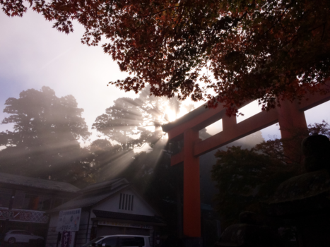 Japan - Ohayou gozaimasu! (Good Morning!)