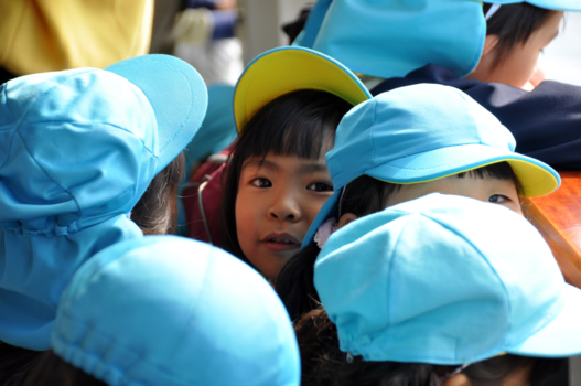 Miyajima - School trip to Miyajima