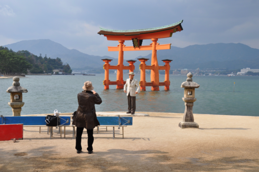 Miyajima - Tori shot