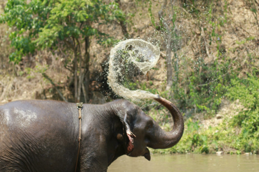 Thailand - Vrolijk baddertijd