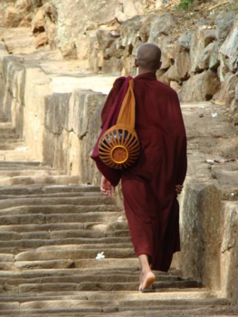 Sri Lanka - Sri Lanka