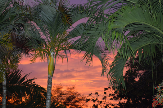 Phuket - Voor niks gaat de zon op (of onder)!